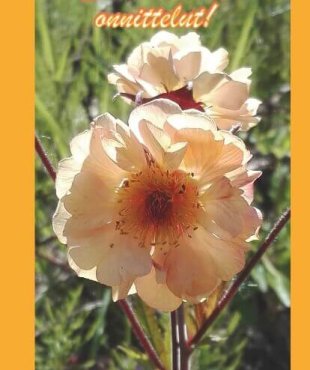 kaunis onnittelukortti