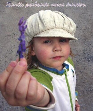 lämpimät onnittelut